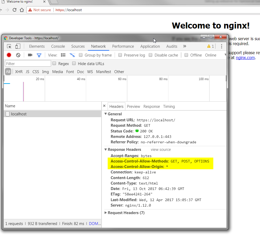 Testing cross-origin NGINX Testing cross-origin NGINX